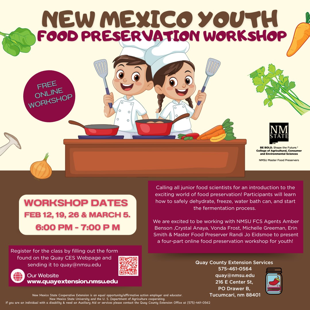 flyer about youth food preservation workshop